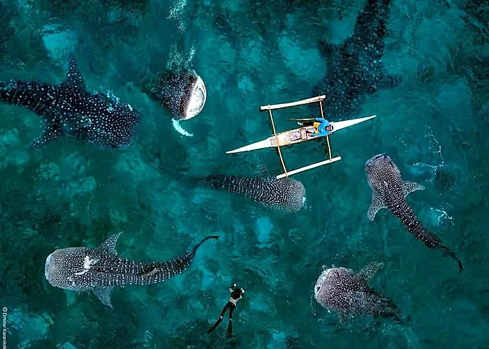 Auberge de jeunesse Sharky