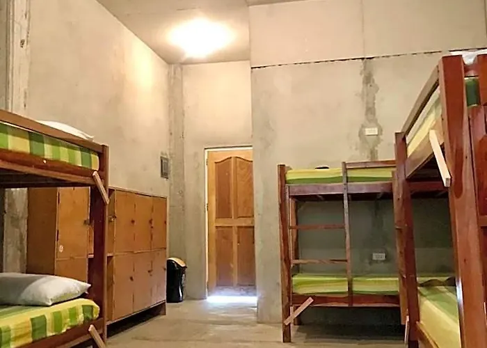 Auberge de jeunesse Sharky